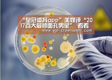 皇冠娱乐