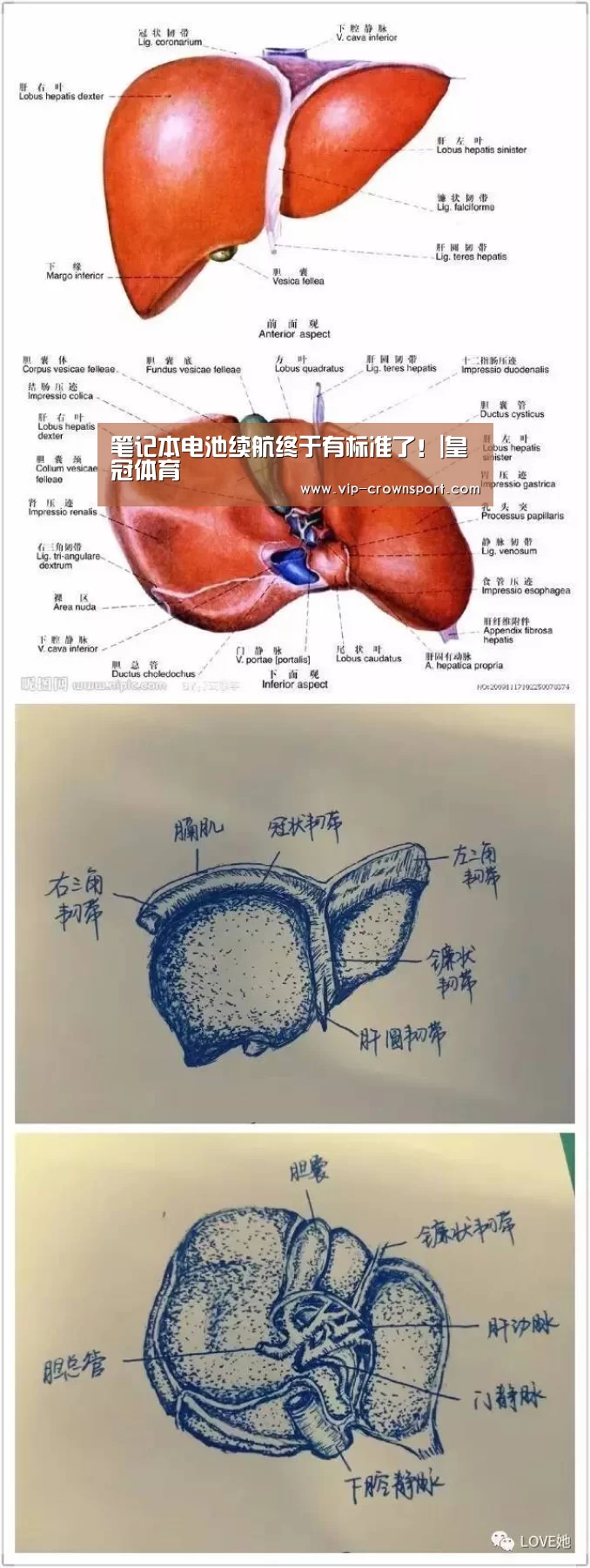 笔记本电池续航终于有标准了!|皇冠体育(图2) 皇冠体育app