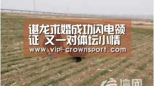 皇冠体育官网