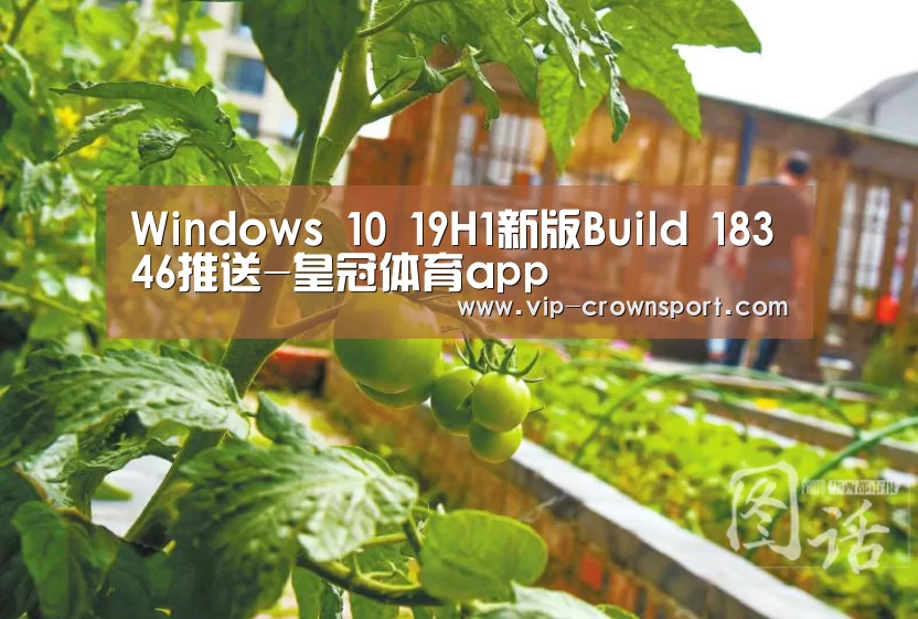 Windows 10 19H1新版Build 18346推送-皇冠体育app(图1) 皇冠体育官网
