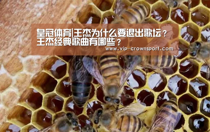皇冠体育|王杰为什么要退出歌坛?王杰经典歌曲有哪些?(图1) 皇冠体育app