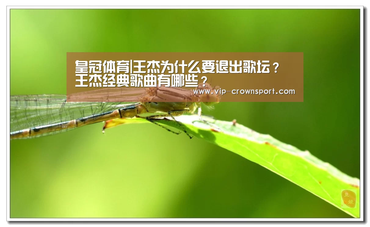 皇冠体育|王杰为什么要退出歌坛?王杰经典歌曲有哪些?(图2) 皇冠体育官网