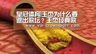 皇冠体育|王杰为什么要退出歌坛?王杰经典歌曲有哪些?(图3) 皇冠体育官网